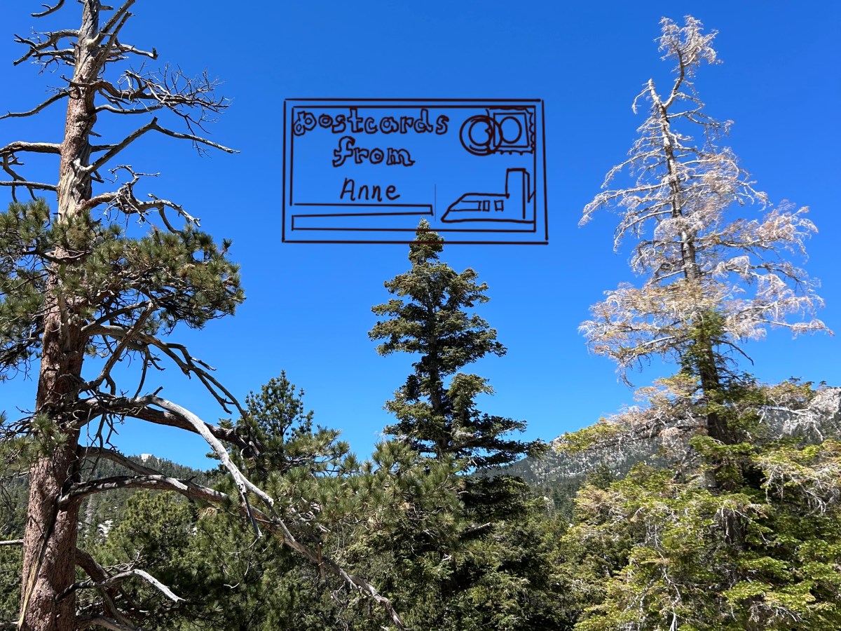 Postcard from Palm&nbsp;Springs